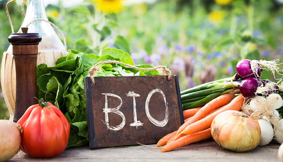 bio food sustainability