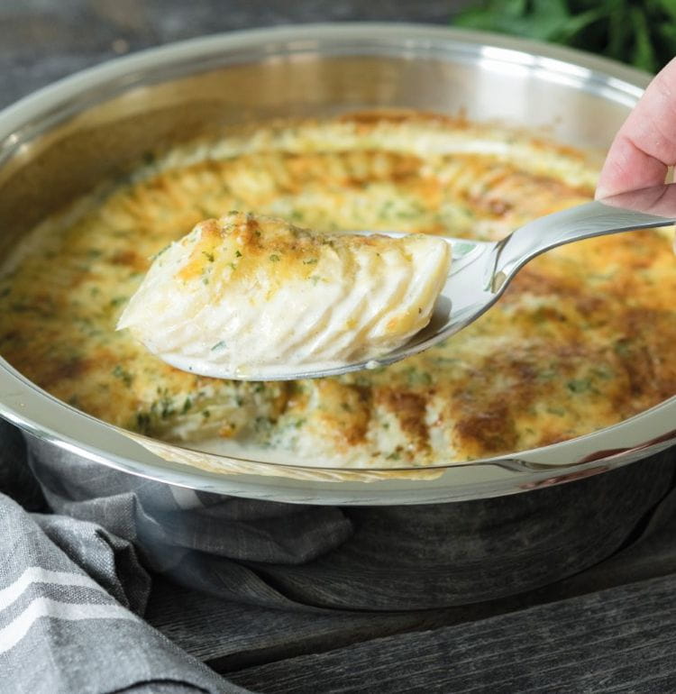 Gratin Dauphinois Traditionnel Amc